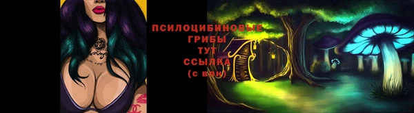 a pvp Армянск