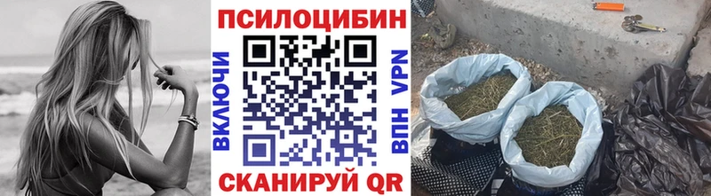 Галлюциногенные грибы Psilocybe  кракен зеркало  Арск 